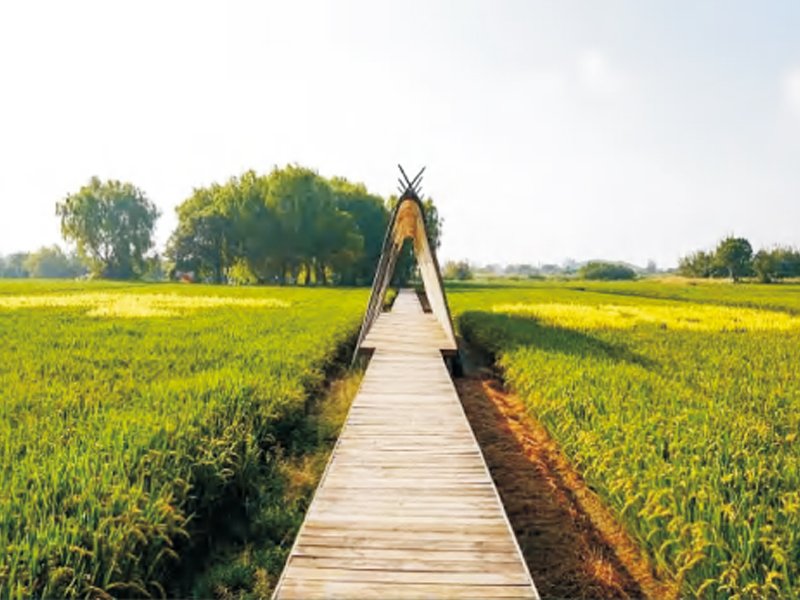 富顺县2022年省级财政乡村振兴奖补资金建设项目西部特色农旅示范区