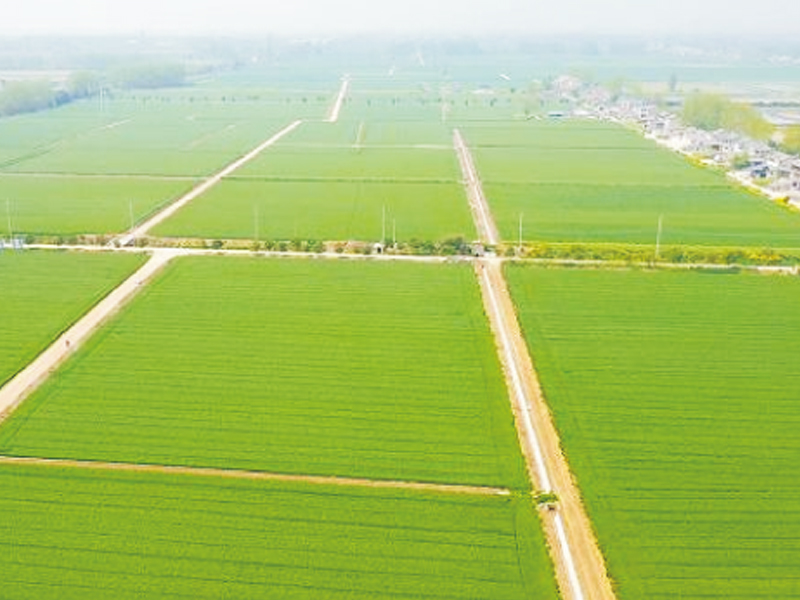 富顺县2020年转移支付投资高标准农田建设结余资金项目